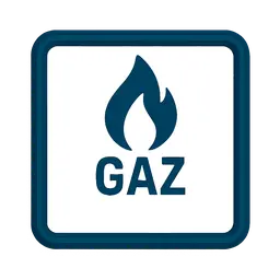 Etat d'Installation Intérieure de Gaz